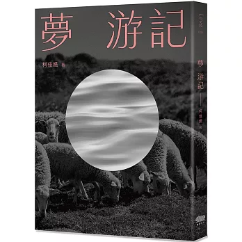 夢  游記