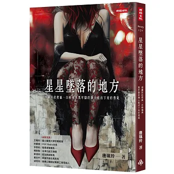 《星星墜落的地方》書封