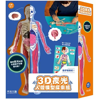3D 夜光人體模型探索組
