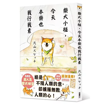 柴犬小椪，今天本柴也我行我素