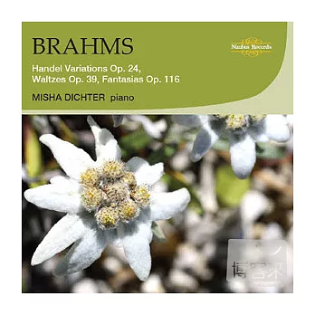 Misha Dichter plays Brahms: Handel Variations, Waltzes & Fantasias / Misha Dichter