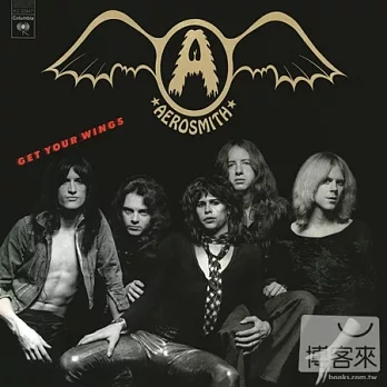 Aerosmith / Get Your Wings (Vinyl 33 1/3轉)