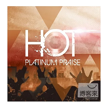 V.A. / Platinum Praise
