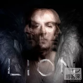 Peter Murphy / Lion