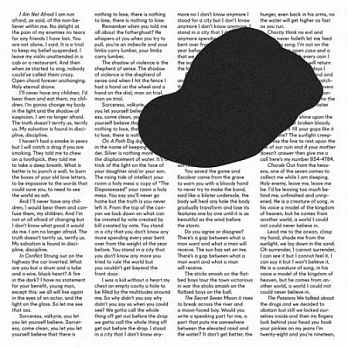 Owen Pallett / In Conflict (Vinyl)