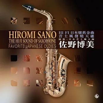佐野博美 / HIFI日本懷舊金曲 昔士風發燒大碟180G (LP黑膠唱片)