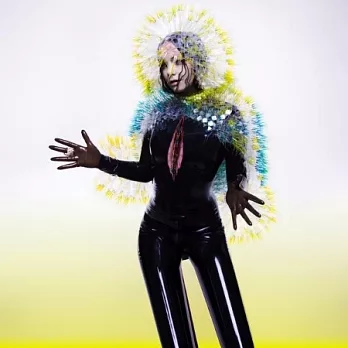 Bjork / Vulnicura (Standard)