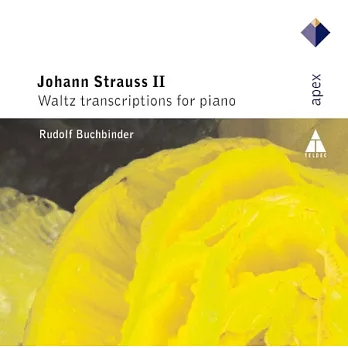 Strauss, Johann II : Waltz Transcriptions For Piano / Rudolf Buchbinder