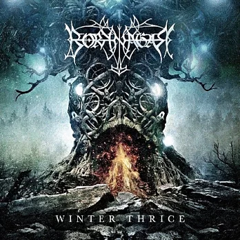 Borknagar / Winter Thrice (2Vinyl)