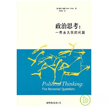 政治思考︰一些永久性的問題