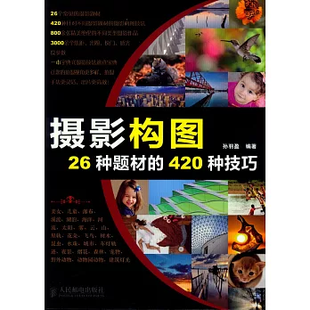 攝影構圖26種題材的420種技巧