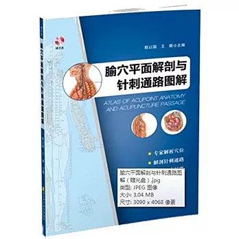 腧穴平面解剖與針刺通路圖解