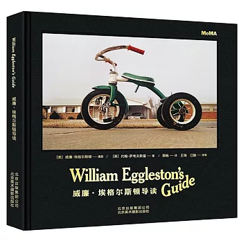 威廉·埃格爾斯頓導讀
