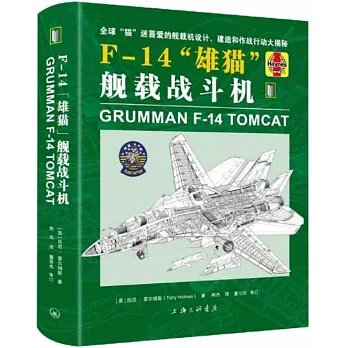 F-14雄貓艦載戰鬥機