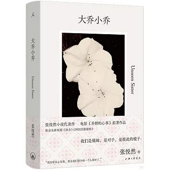 大喬小喬(趙露思《許我耀眼》原著)