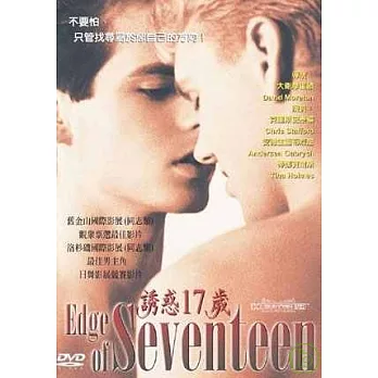 誘惑17歲 DVD