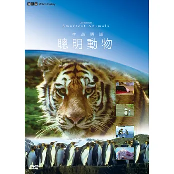 地球脈動22-聰明動物 DVD