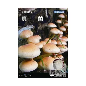 台灣脈動44-美麗奇蹟8 真菌 DVD