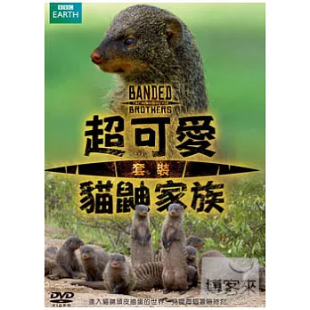 超可愛貓鼬家族 套裝 4DVD