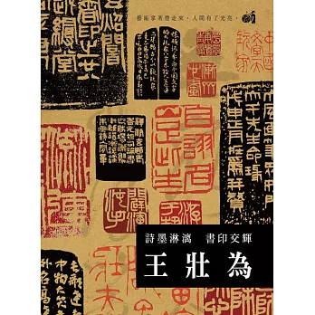 詩墨淋漓 書印交輝 王壯為 (DVD)