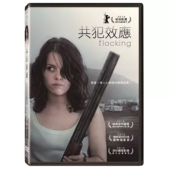 共犯效應 DVD