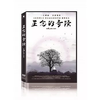 正念的奇蹟 DVD