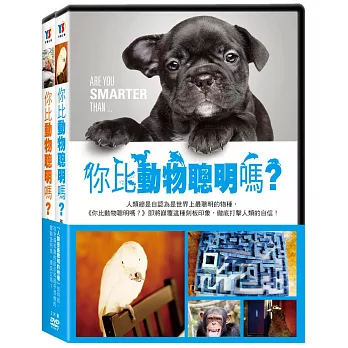 你比動物聰明嗎？DVD