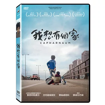 我想有個家 (DVD)