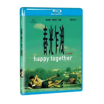 春光乍洩(家用版) Happy together /