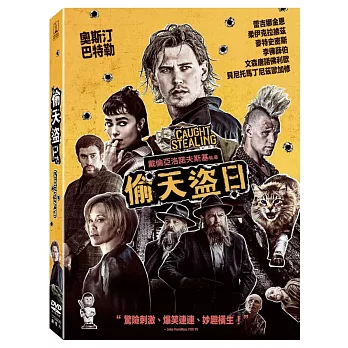 偷天盜日 (DVD)