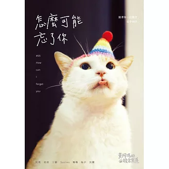 黃阿瑪的後宮生活：怎麼可能忘了你 (電子書)