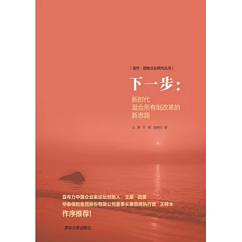 混改下一步：新時代混合所有制改革的新思路 (電子書)