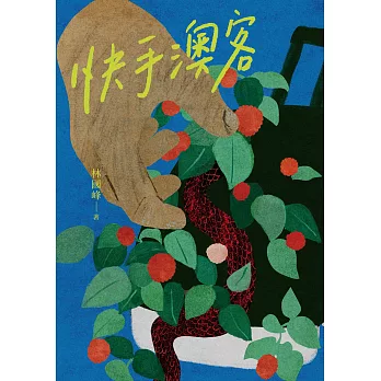 快手澳客 (電子書)