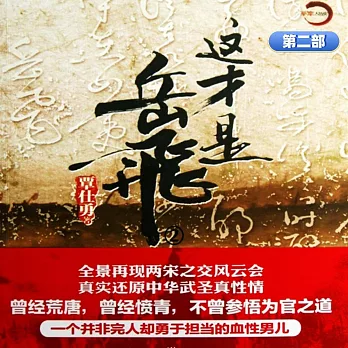 這才是岳飛 第二部 (有聲書)