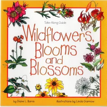 Wildflowers, blooms and blossoms /