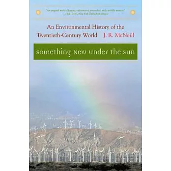 Something new under the sun : an environmental history of the twentieth-century world /