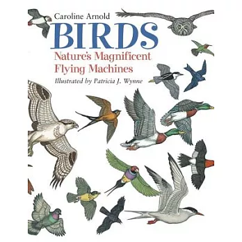 Birds: Nature’s Magnificent Flying Machines