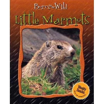 Little Marmots