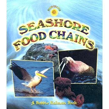 Seashore food chains /