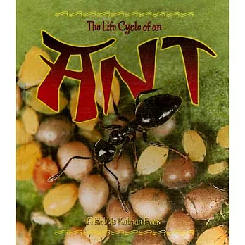 The life cycle series : The life cycle of an ant /