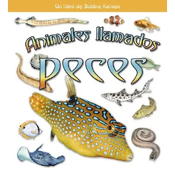 Animales Ilamados Peces / Animals Called Fish