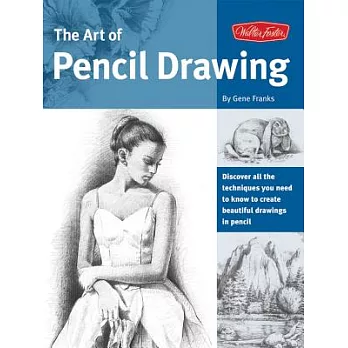 The Art of Pencil Drawing