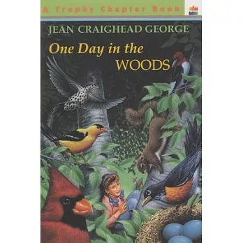One Day in the Woods