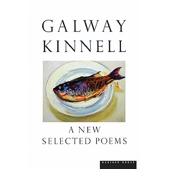 A New Selected Poems