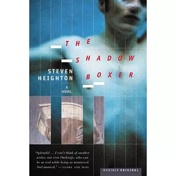 The Shadow Boxer