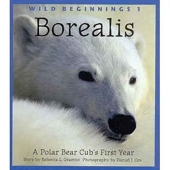 Borealis: A Polar Bear Cub’s First Year