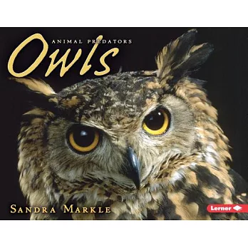 Owls /