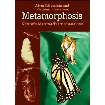 Metamorphosis: Nature’s Magical Transformations