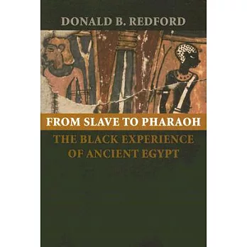 From slave to pharaoh : the black experience of ancient Egypt /