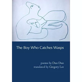The Boy Who Catches Wasps